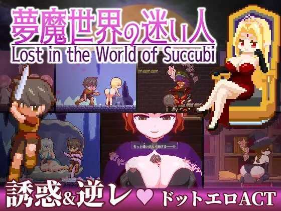 [ACT/像素/PC+安卓] 梦魇世界的迷途者 Lost in the World of Succubi 夢魔世界の迷い人 Ver1.01 官方中文版 游戏 第1张